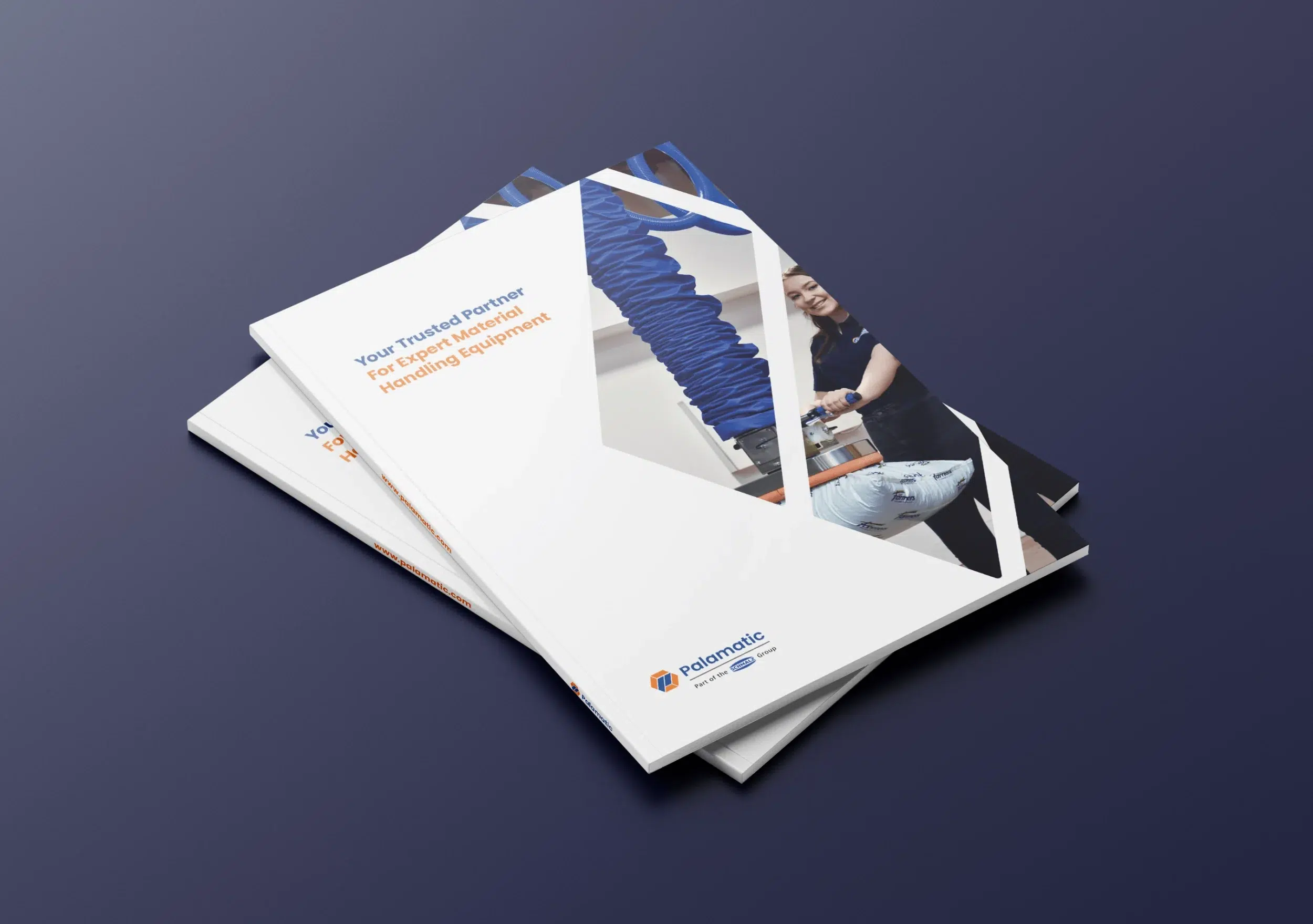 Achieving global success with Palamatic's marketing evolution - Fenti Marketing