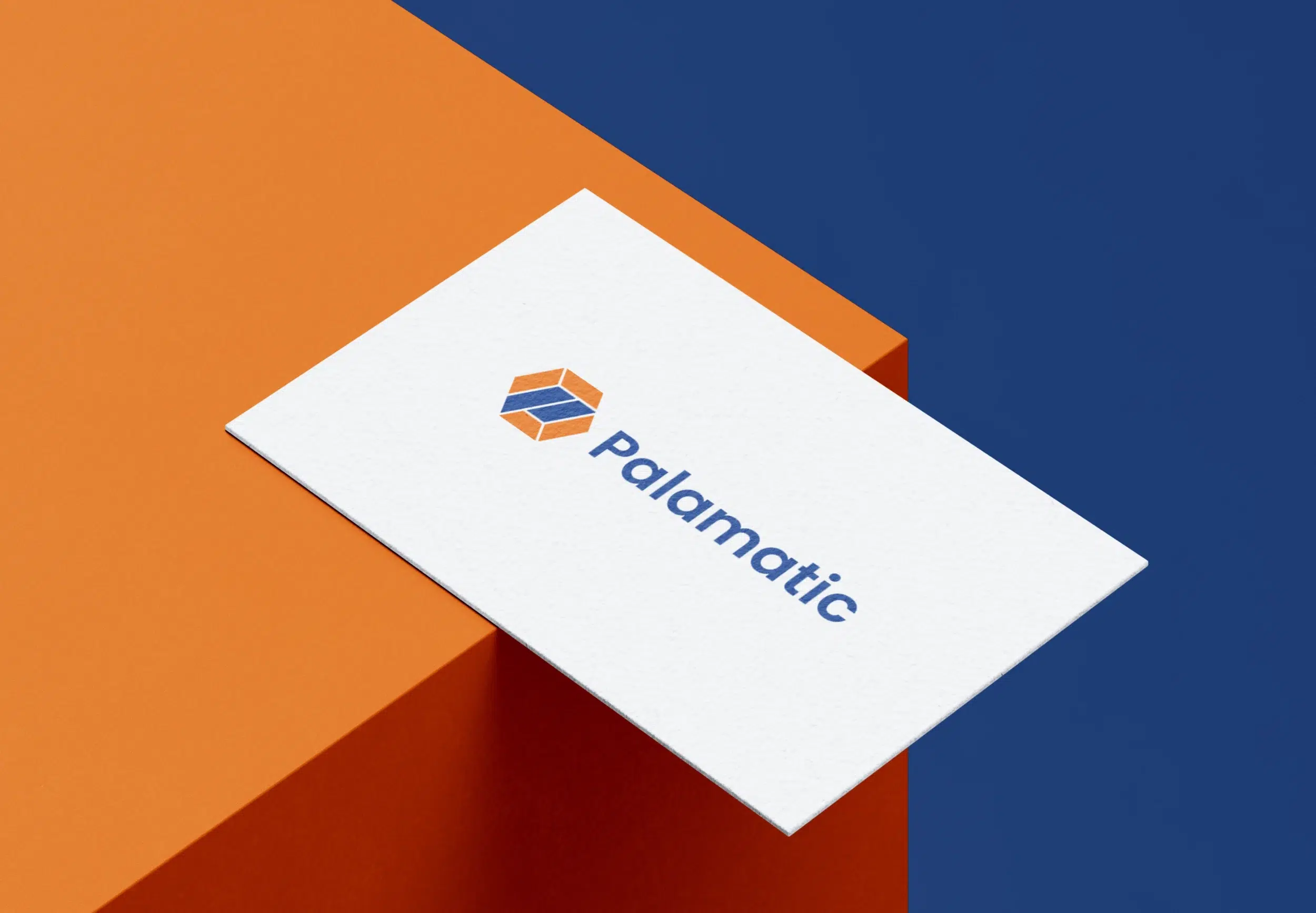 Achieving global success with Palamatic's marketing evolution - Fenti Marketing
