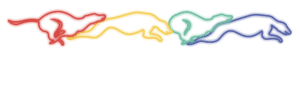 Website Redesign for Sheffield’s Premier Greyhound Race Track, Owlerton Stadium - Fenti Marketing